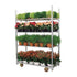 Danish Plant Trolley with 3 Shelves – Galvanized Steel Frame – 1350x565x1900mm
